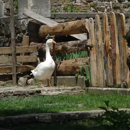 아파트 Du Galibot Barulaire Saint-Florent-sur-Auzonnet